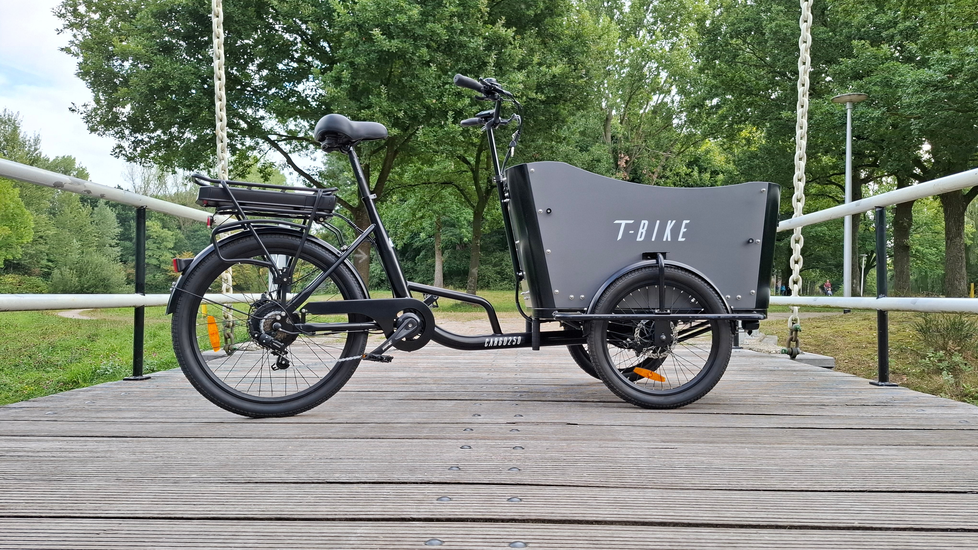 CARGO250 – Bicicleta eléctrica plegable