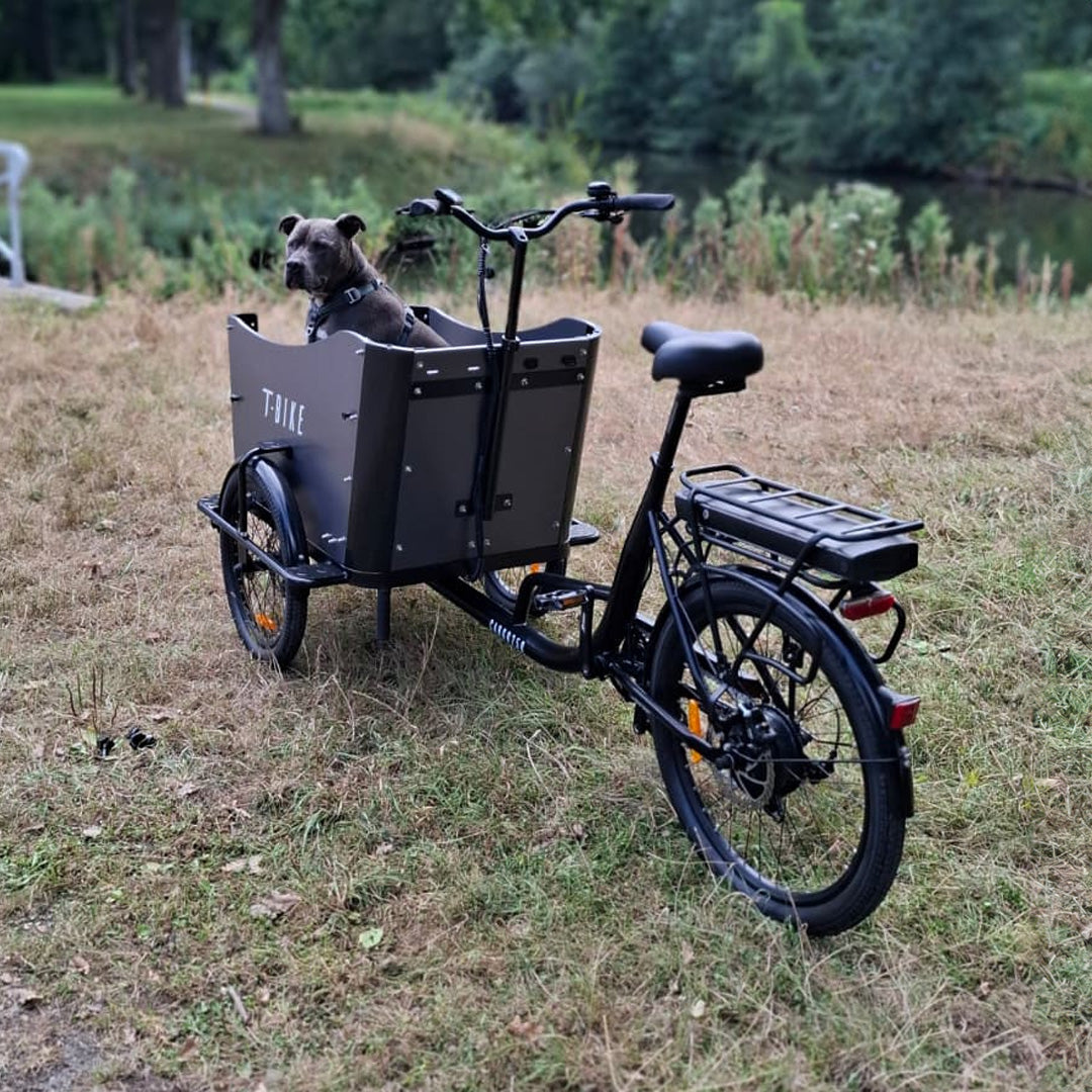 CARGO250 – Bicicleta eléctrica plegable