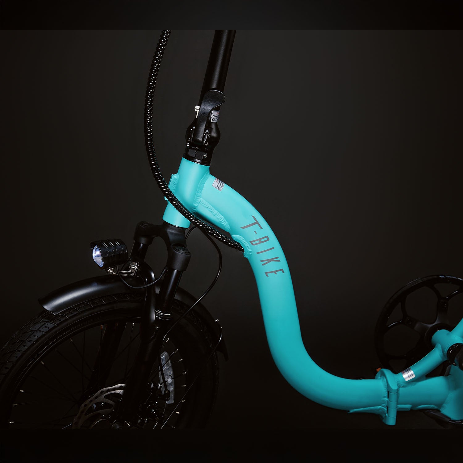 LR250 Low-Rider Opvouwbare Elektrische Fiets – Turkoois
