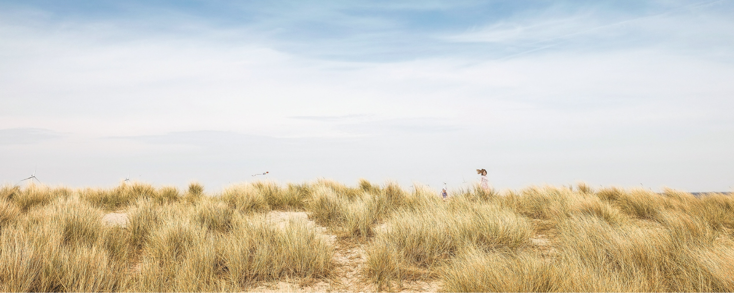 Image of sand dunes on the beach