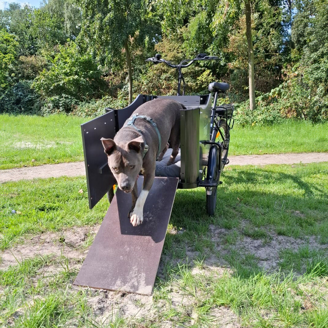 T-Bike Cargo 250 – Lastenrad (Bakfiets)