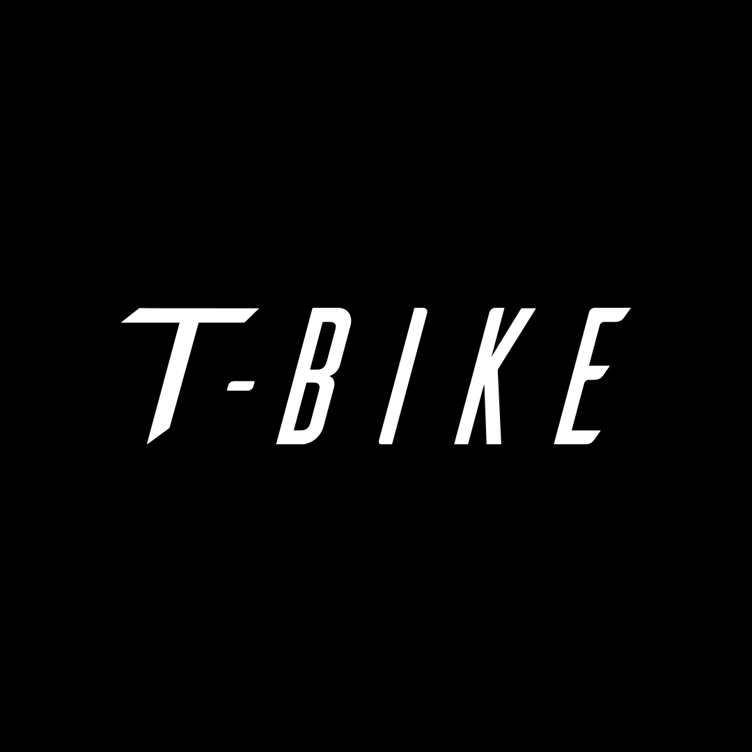 T-Bike Zitbuisaccu City250