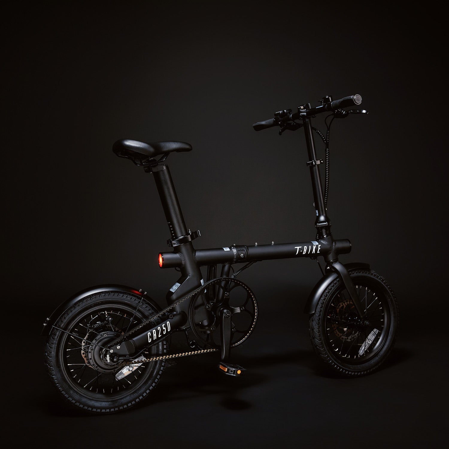 CR250 –  Compact Rider Folding Electric Bike