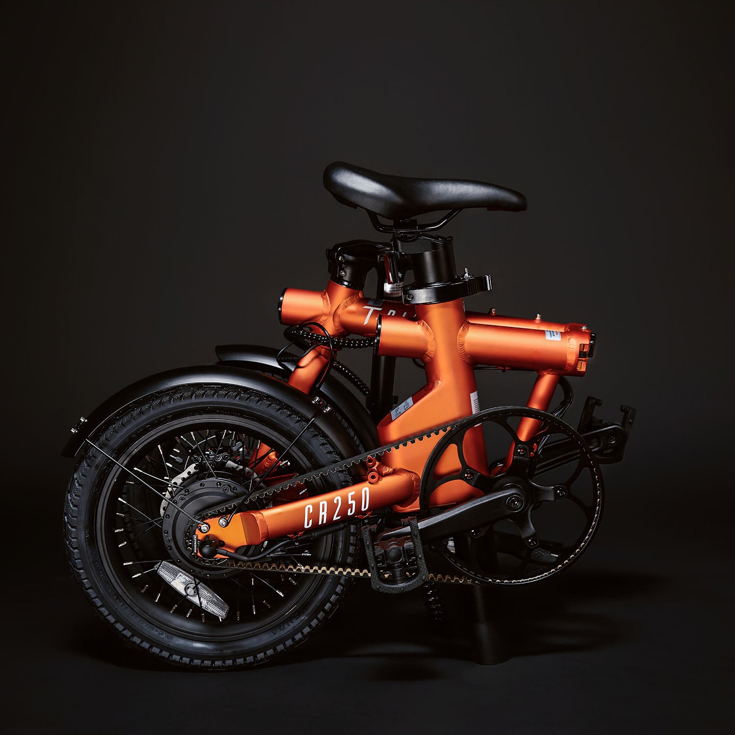 CR250 –  Compact Rider Folding Electric Bike