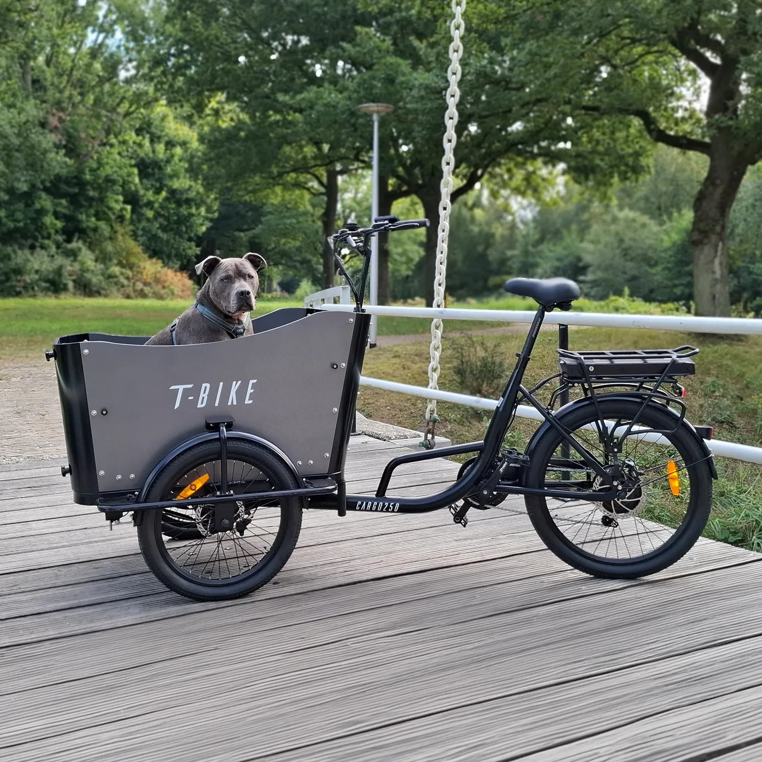 lastenfahrrad niederlande T-Bike Cargo 250 – Lastenrad (Bakfiets)