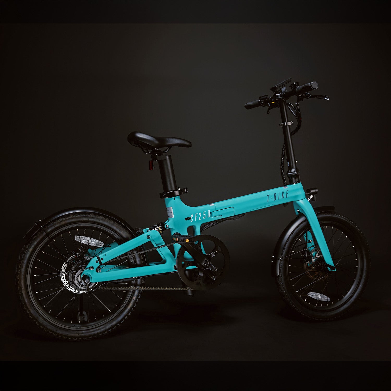 CF250 –  Folding Electric Bike